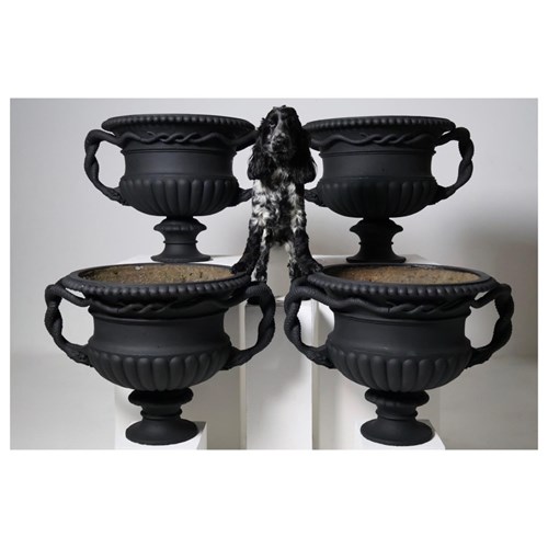 Set Of Four Large Scale 19Th Century Serpent Handled Garden Urns