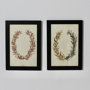 Pair Of Framed English Mid 19Th Cen...