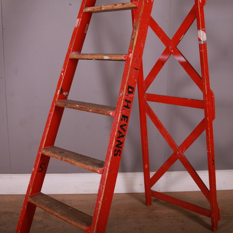 Painted Library Ladder-arcadia-antiques-img-5644-main-637795862886063337.JPG