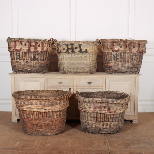 Collection Of Champagne Grape Baskets