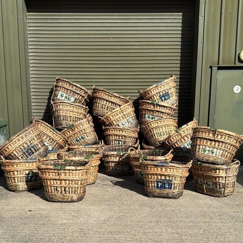 French Champagne Grape Baskets