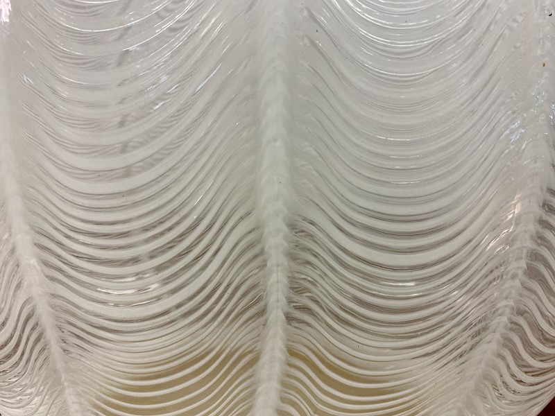 Large Murano Glass Vase by Licio Zanetti-august-interiors-img-1159-main-638040160362576296.jpeg