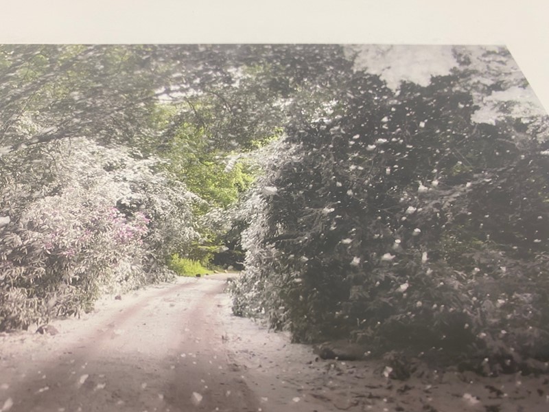 "Midsummer Snowstorm" Photo by Peter Liversidge-august-interiors-img-8738-main-637938492509860914.jpeg