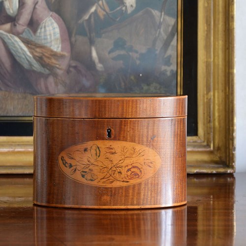 Sheraton Oval Harewood Tea Caddy