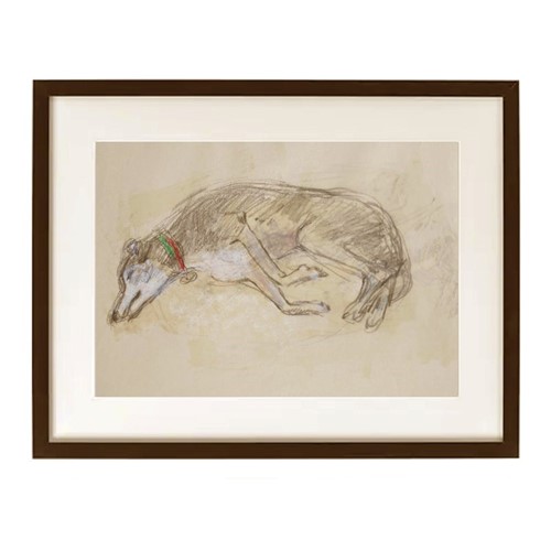 Drawing Of A Sleeping Dog, (2) Audrey Lanceman