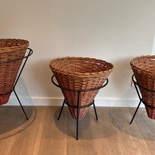 Set Of Three Black Lacquered Metal And Rattan Planters. French Work. Circa 1950