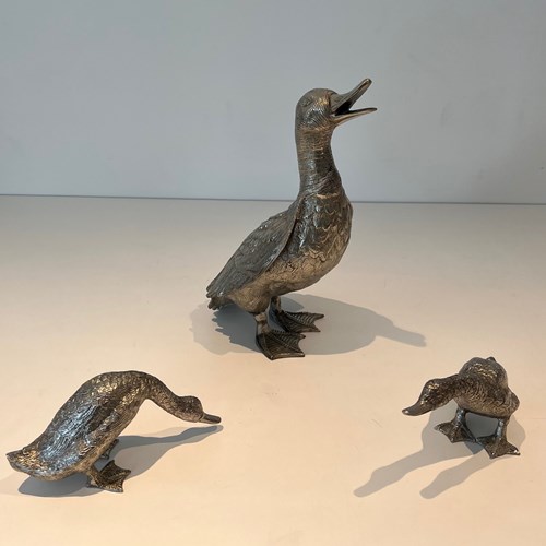 Set Of Three Silvered Bronze Ducks Finely Chiseled. French Work.