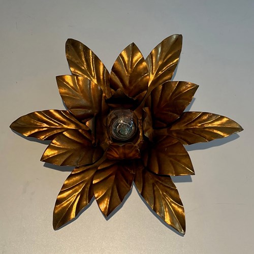 Gilt Metal Flower Wall Lights. French Work