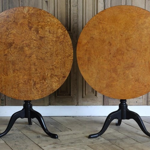 Matched Pair Of 19Th Cent Swedish Tilt Top Occasional Tables In Birch With Eboni