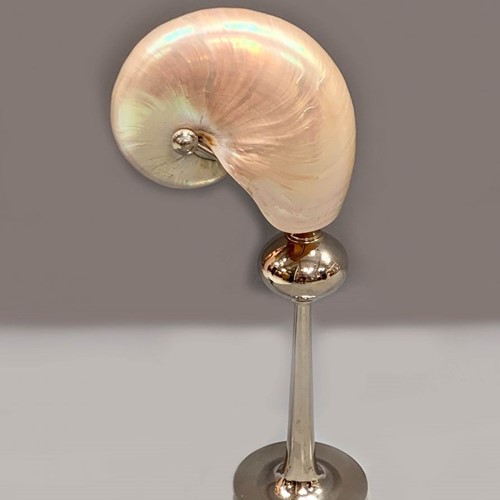 Silver-Plated Lamp Base, Nautilus Shade