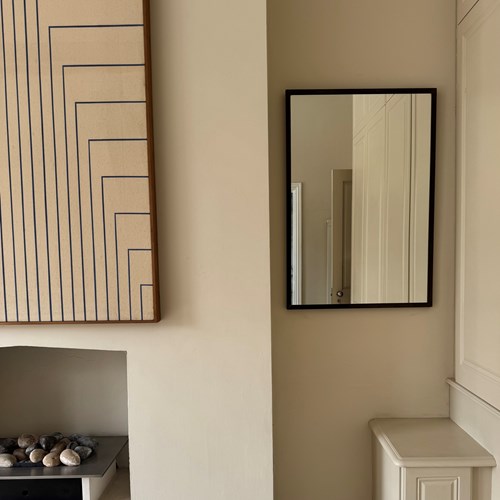 French Bronze Patinated Gilt Metal Framed Mirror