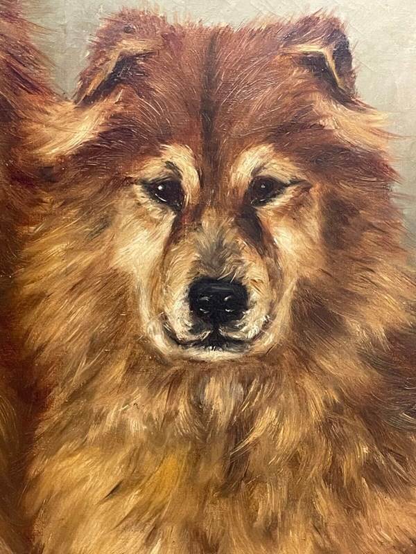 19Th Century Oil Painting Portrait Chinese Chow Chow Dogs Ting & Ching-cheshire-antiques-consultant-chow8-main-638368694518059905.jpg