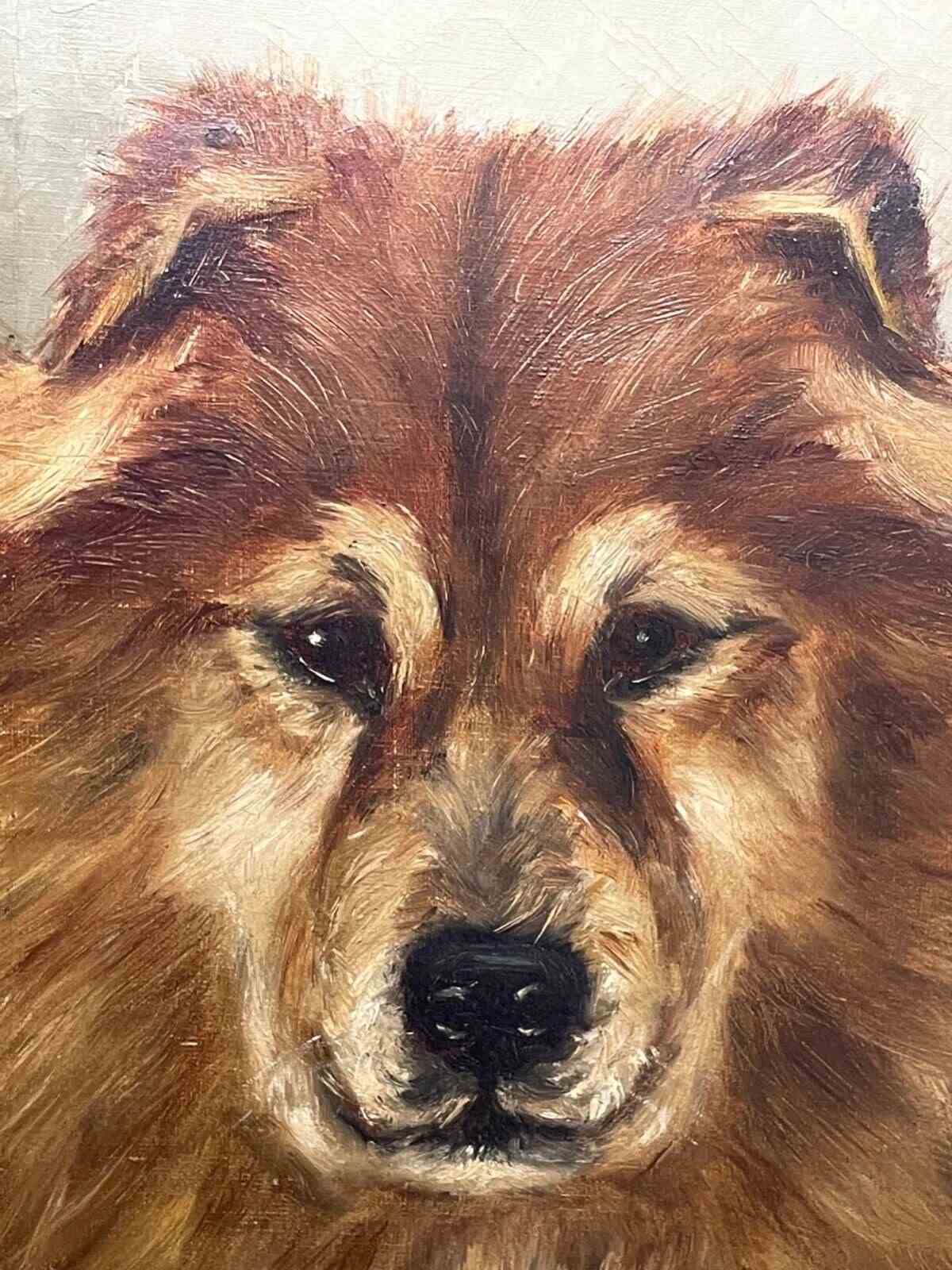 Chinese dog 2024 chow chow