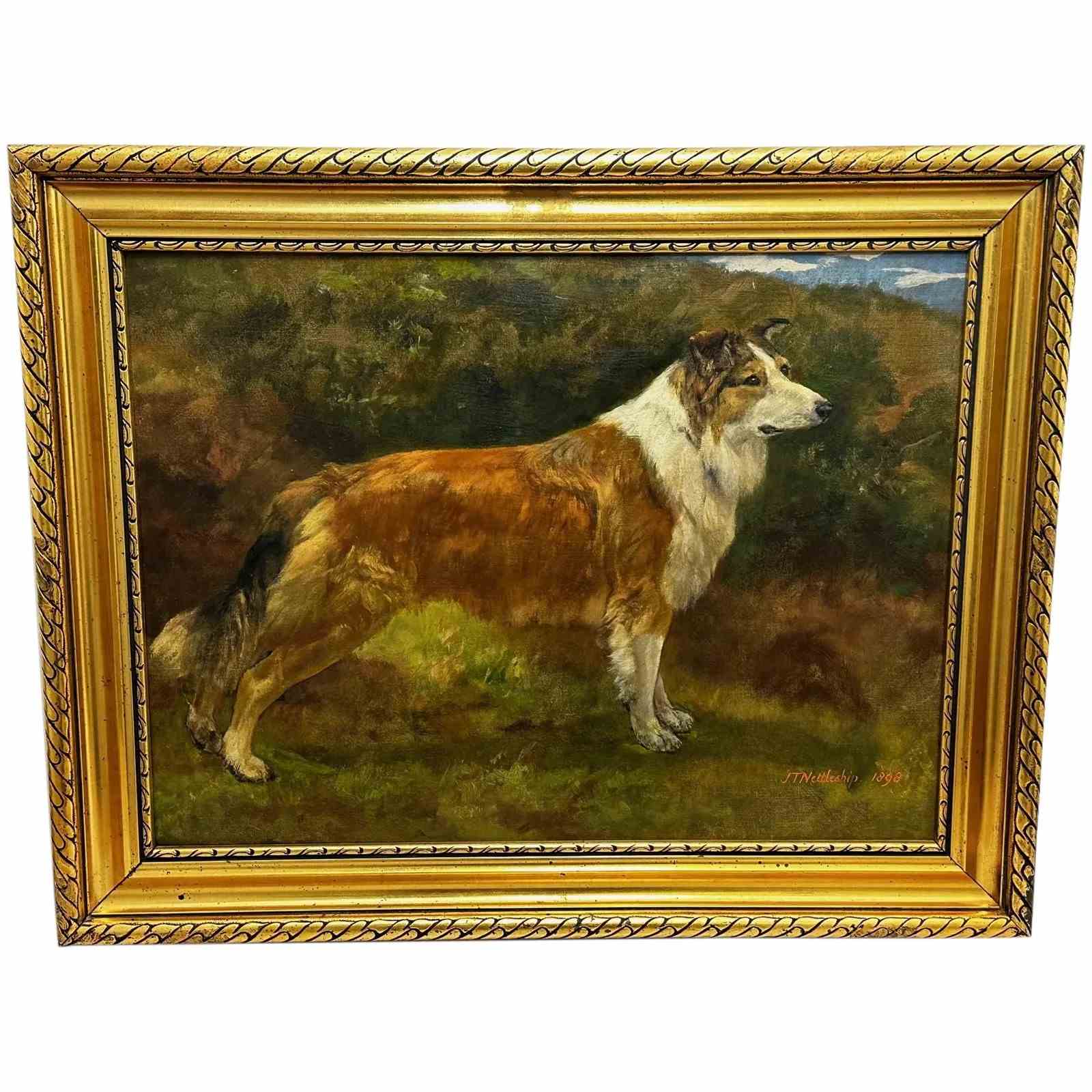 Australian Cattle Dog, head in profile, panting For sale as Framed