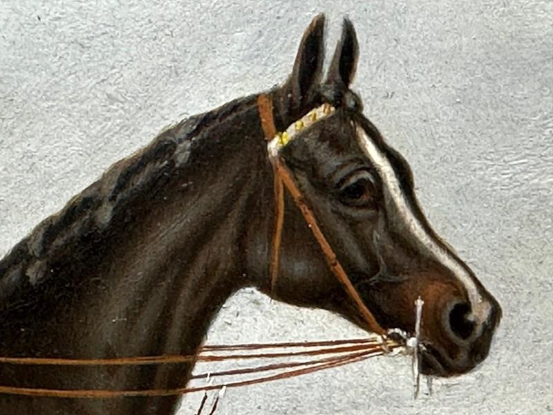 19Th Century Oil Painting Race Horse Harvester & Jockey 1884 Derby Winner-cheshire-antiques-consultant-img-0097-2-main-638294206332768528.jpg