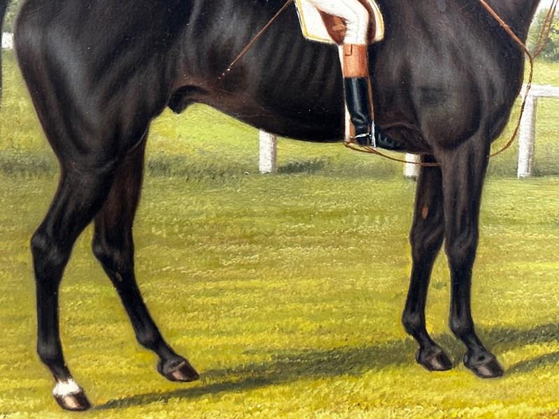 19Th Century Oil Painting Race Horse Harvester & Jockey 1884 Derby Winner-cheshire-antiques-consultant-img-0101-3-main-638294206383548500.jpg