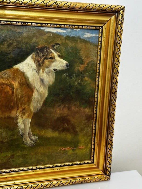 19Th Century Oil Painting Rough Scottish Collie Dog By John Trivett Nettleship-cheshire-antiques-consultant-img-8689-2-main-638386142706186220.jpg