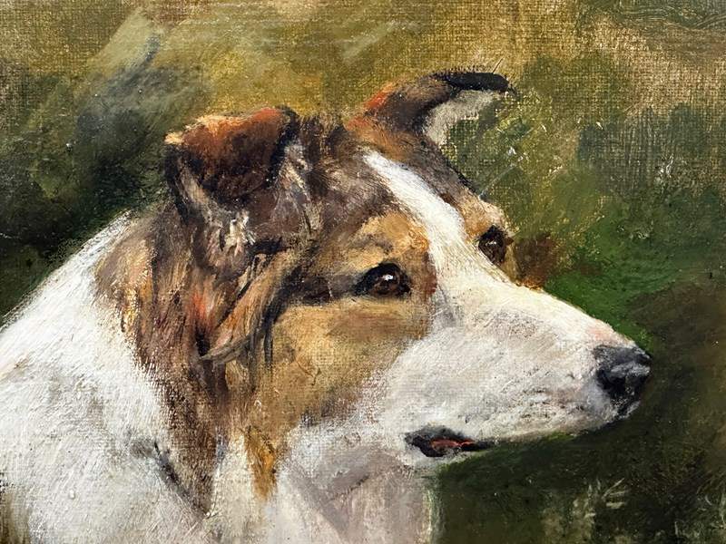 19Th Century Oil Painting Rough Scottish Collie Dog By John Trivett Nettleship-cheshire-antiques-consultant-img-8707-3-main-638386143050776539.jpg