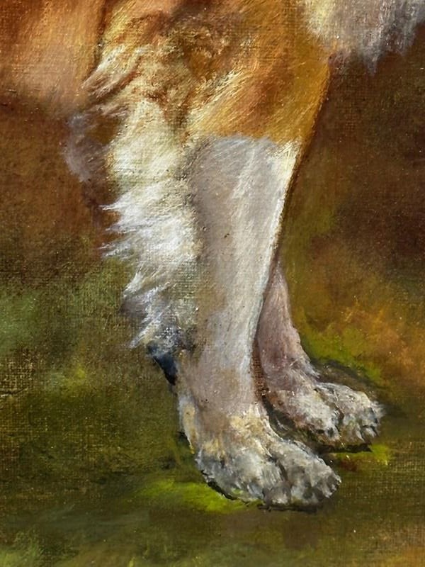 19Th Century Oil Painting Rough Scottish Collie Dog By John Trivett Nettleship-cheshire-antiques-consultant-img-8708-2-main-638386143068900893.jpg
