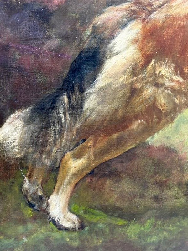 19Th Century Oil Painting Rough Scottish Collie Dog By John Trivett Nettleship-cheshire-antiques-consultant-img-8710-2-main-638386143097494085.jpg