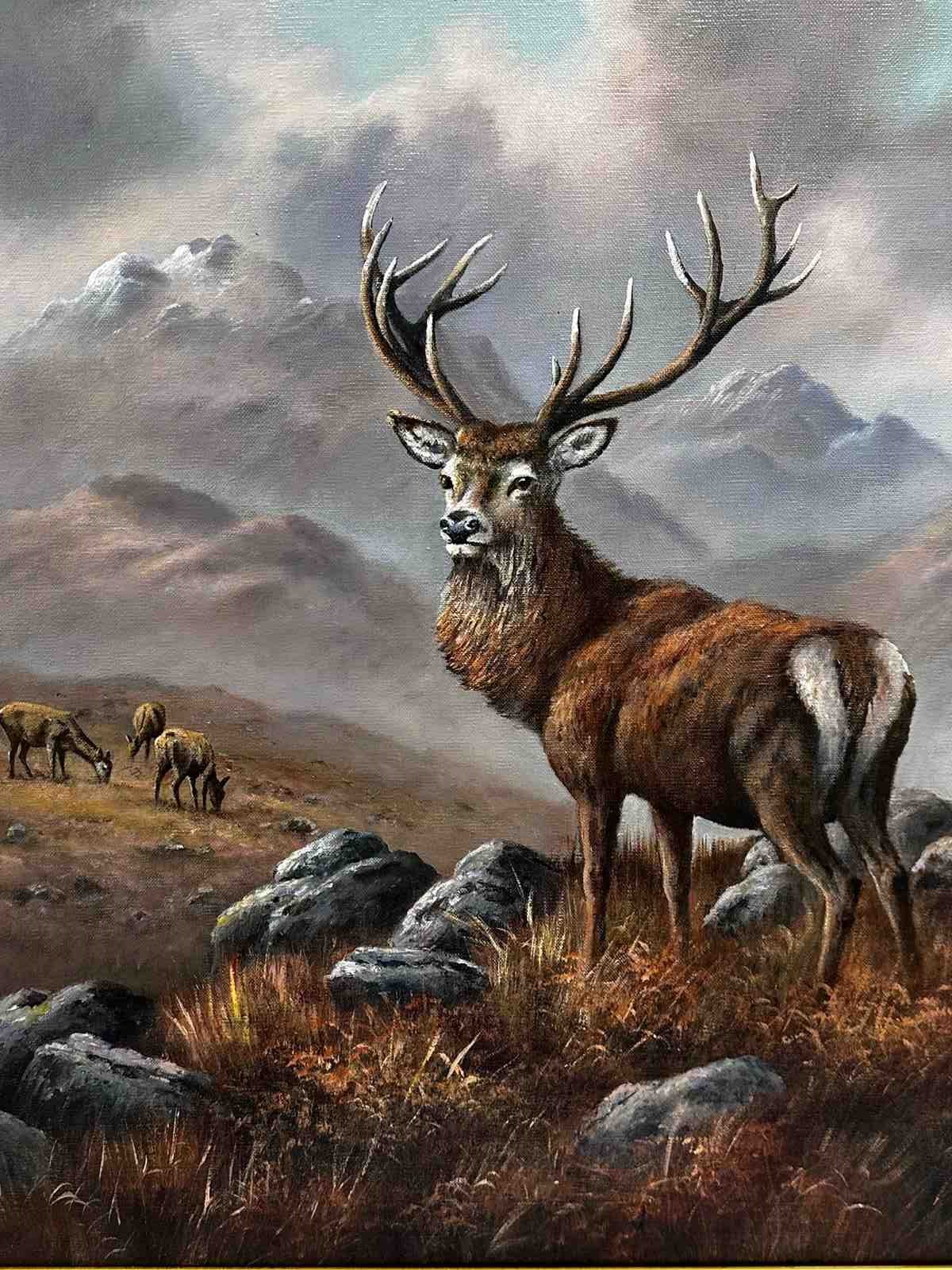 Oil Painting Scottish Highlands Monarch In The Glen I Signed Wendy