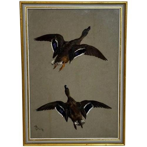 Victorian Painting Two Ducks Flying Away By Thomas Blinks
