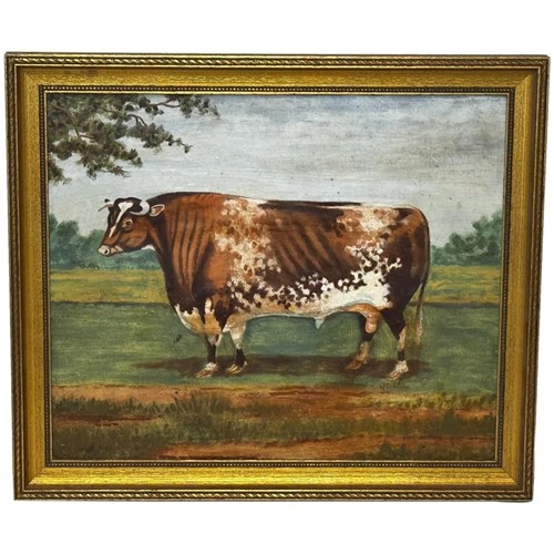 Majestic Shorthorn A Stately Victorian Oil Portrait Of A Prized Bull