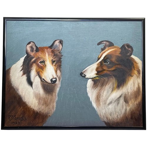 Oil Painting Highland Rough Collie Dogs Follower Benedict Angell Hyland