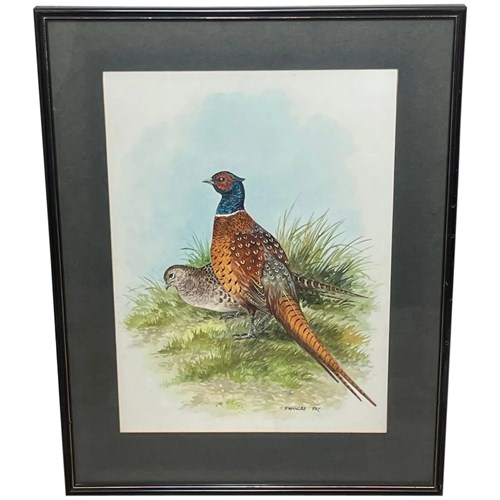 Watercolour Game Birds Pheasants In Moor Minehead Somerset By Frances Fry