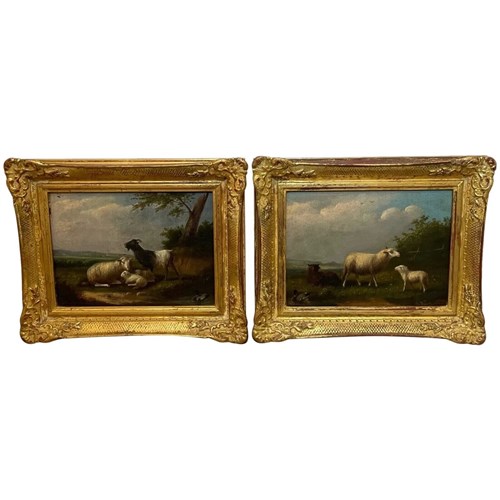 Decorative Pair Of 19Th Century Belgian Pastoral Animal Paintings By Franz Van S