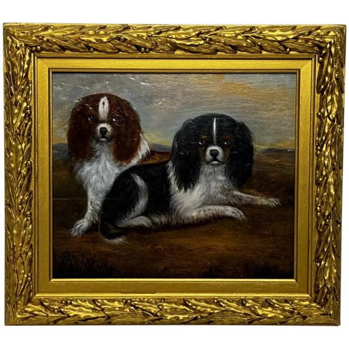 19Th Century Oil Painting Animal Portrait King Charles Spaniel Dogs