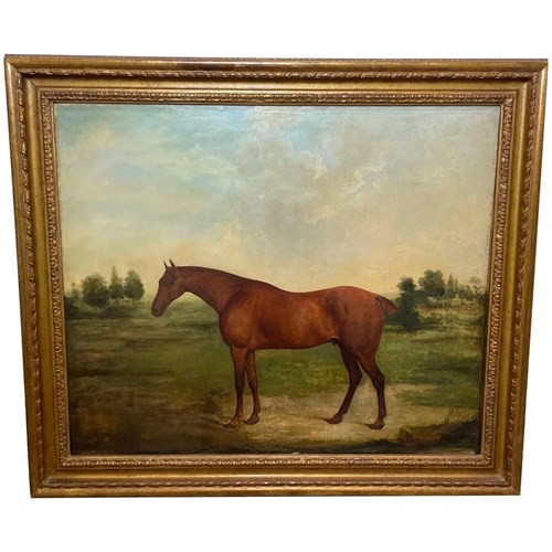 Georgian Oil Painting Portrait Bay Hunter Horse Partisan By James Barenger