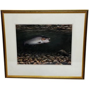 Angling Painting Sea Trout Nearly H...