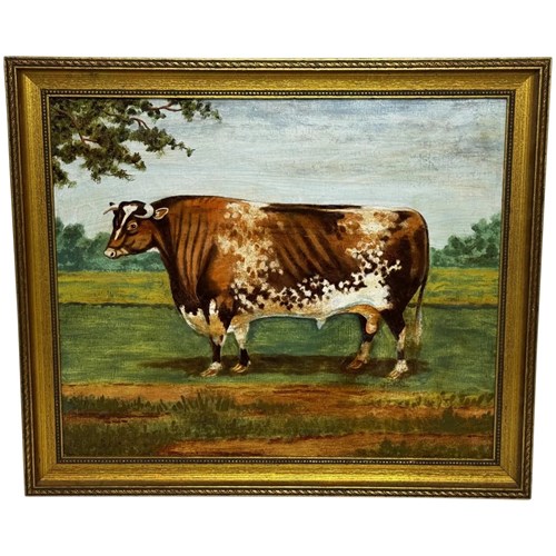 Victorian Country House Prized Shorthorn Bull Oil Painting C.1890