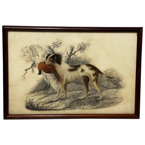 Early Victorian Hunting Painting Pointer Gun Dog Carrying Game Bird 