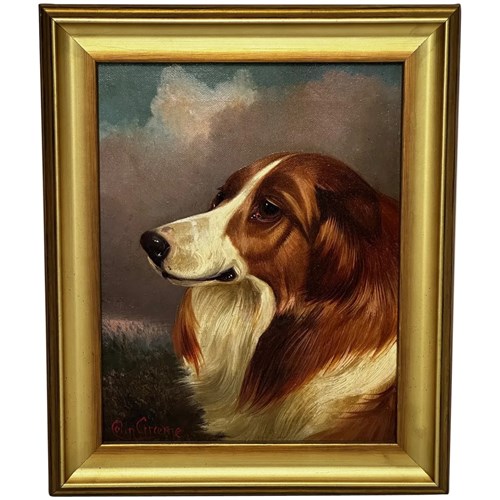 Victorian Scottish Rough Collie Dog Oil Painting By Colin Graeme Roe