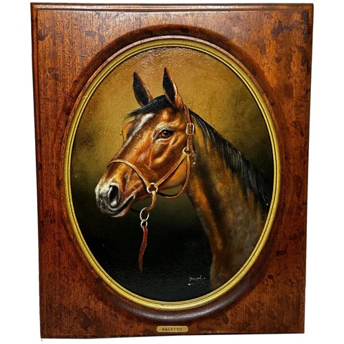 Oil Painting Portrait Bay Hunter Race Horse Saletto