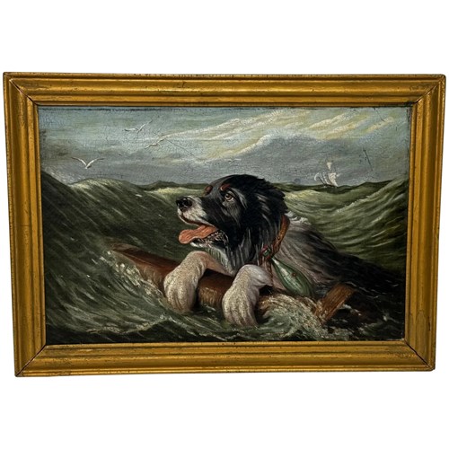 19Th Century Oil Painting Saint Bernard Dog Shipwrecked After Landseer