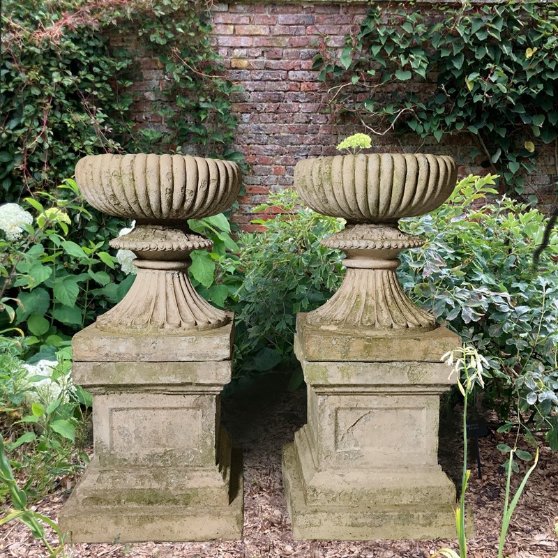 A Pair of Buff Terracotta Urns with Plinths c.1860-chris-holmes-antiques-art-bddc6692-2cff-4675-9314-062f70f32680-main-637763105585076579.jpeg