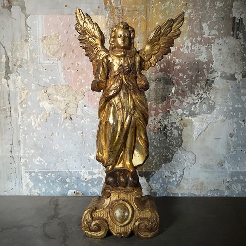 Early Italian Carved Wood Gilded Angel C.1650