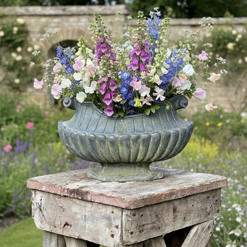 19Th C. Neoclassical Lead Planter