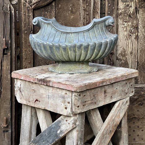 19Th C. Neoclassical Lead Planter