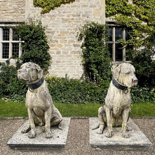 Pair Of English Mastiff Guardian Statues With Bronze Collars