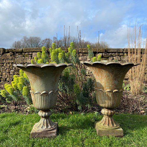 Pair Of English Tulip Shaped Cast Iron Urns C.1880 