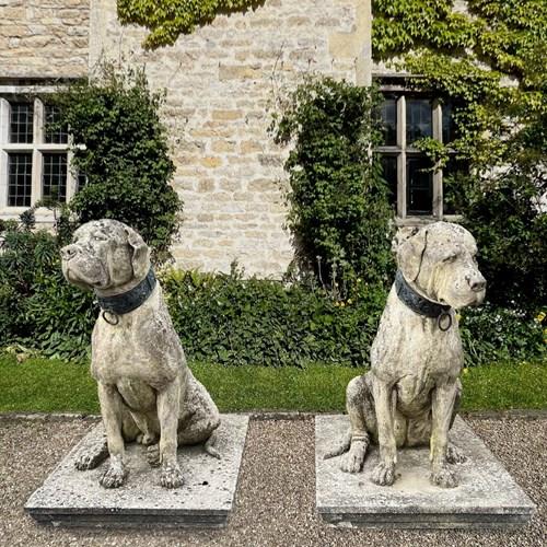 Pair Of English Mastiff Guardian Statues With Bronze Collars