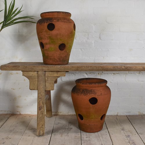 Pair Of Terracotta Strawberry Pots 