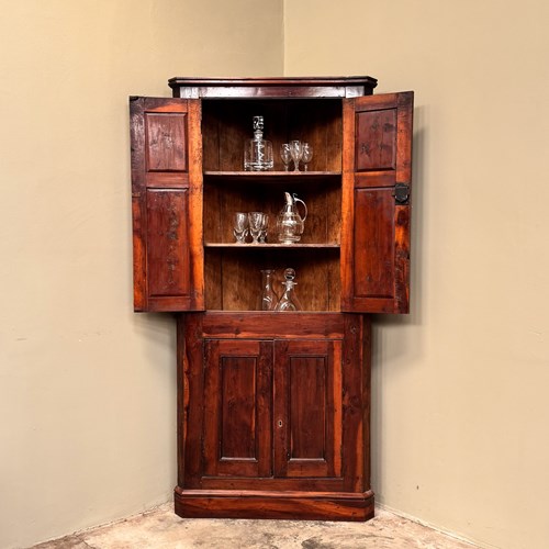Yew Wood Corner Cupboard 