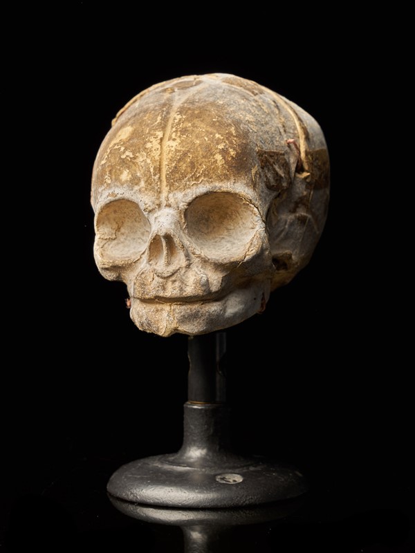 19th Century Papier-Mâché Fetal Skull-collectit-by-spectandum-001675-03-2mb-main-637374834426912679.jpg