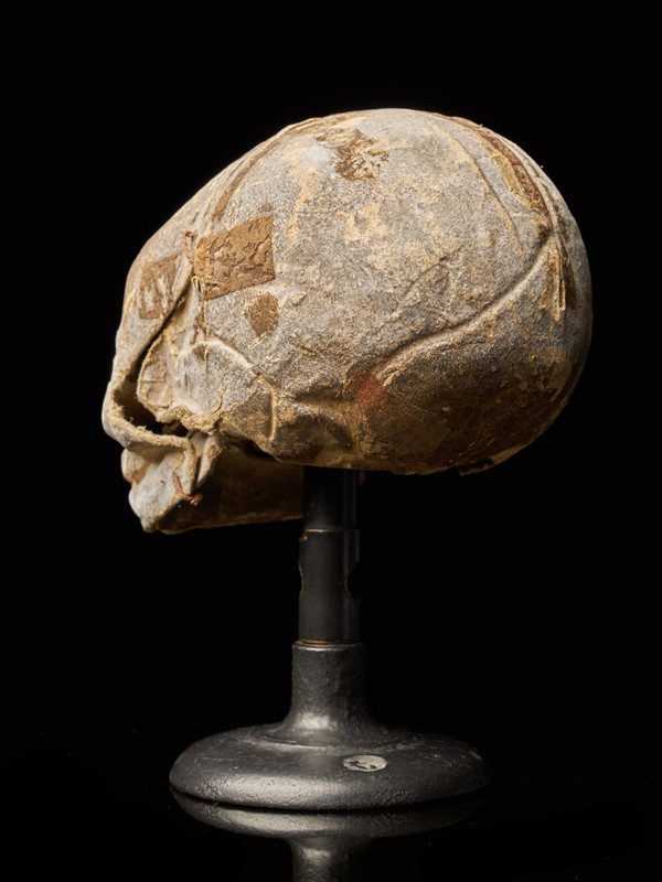 19th Century Papier-Mâché Fetal Skull-collectit-by-spectandum-001675-08-2mb-main-637374834482068834.jpg
