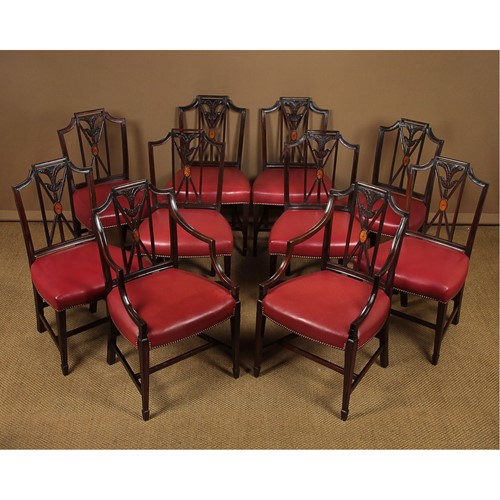 10 Hepplewhite Style Dining Chairs 